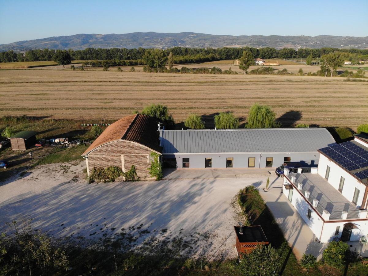 Farm stay La Semente Spello