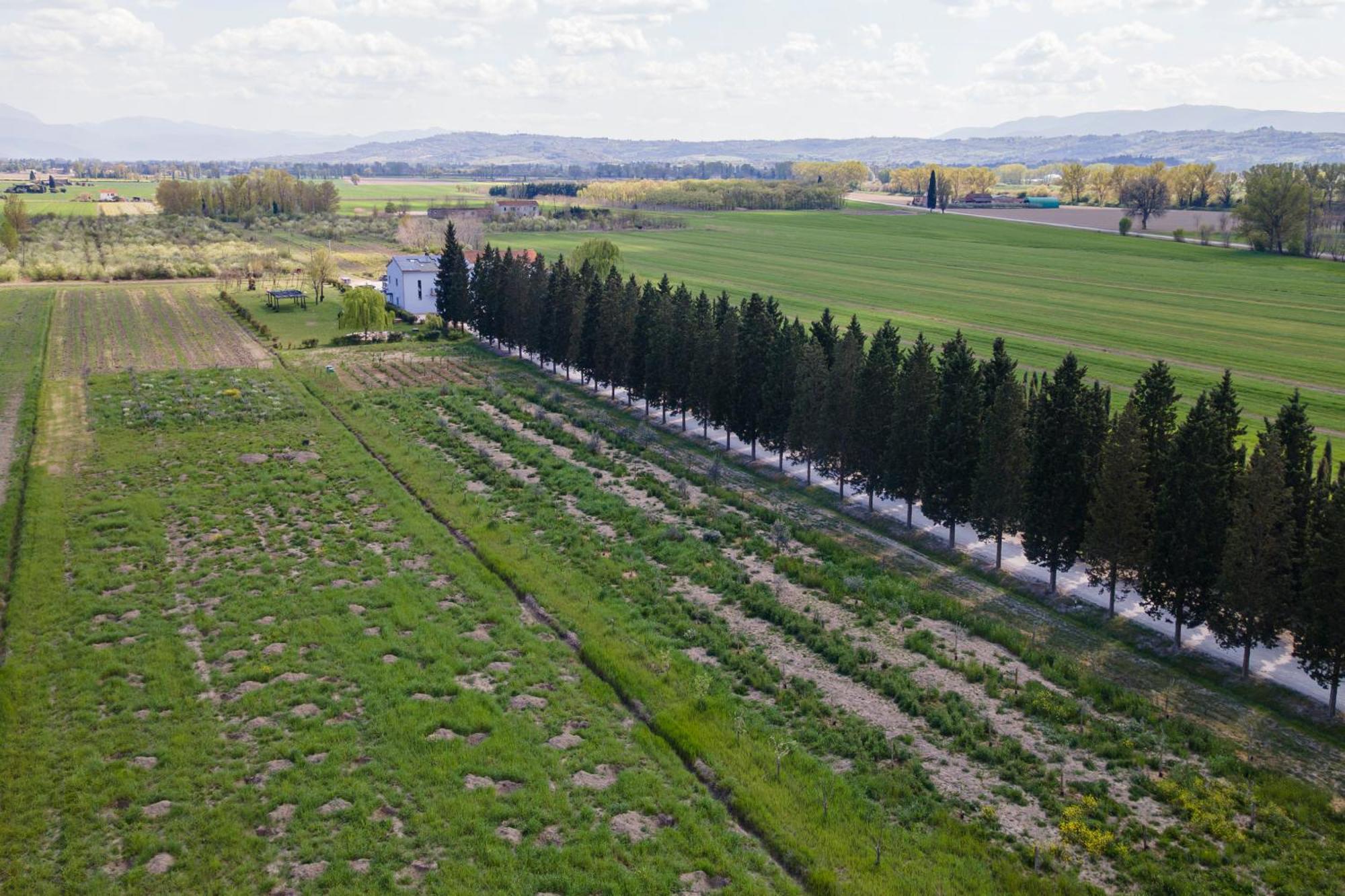 Farm stay La Semente