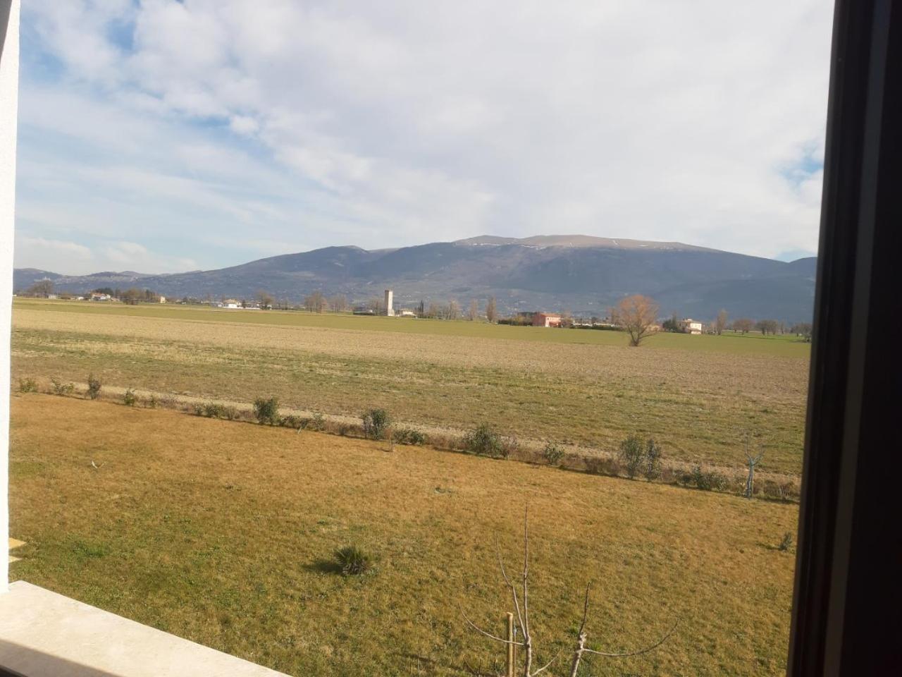 Séjour à la ferme La Semente Spello