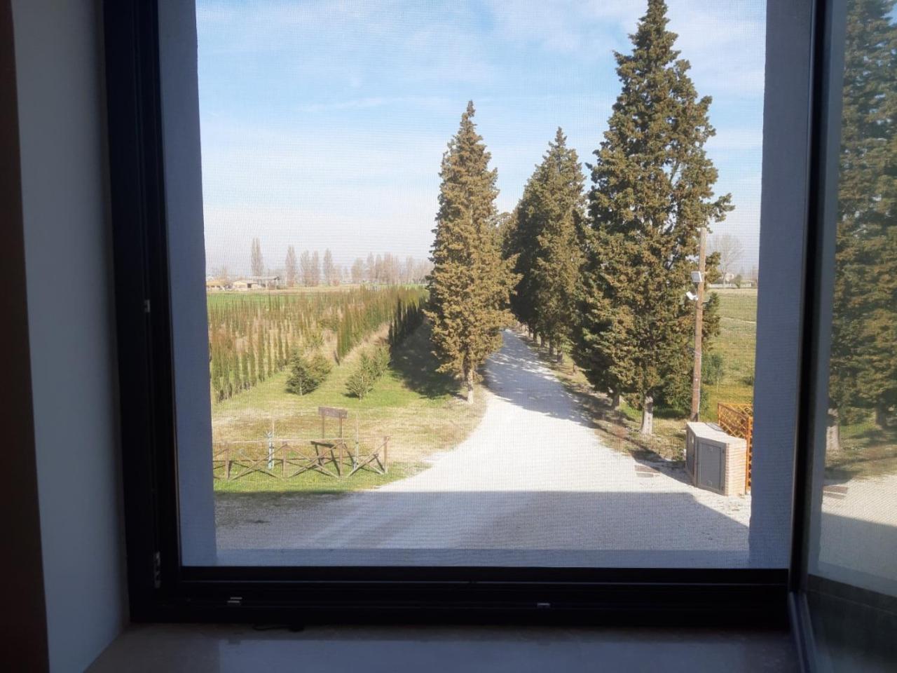 Farm stay La Semente Spello