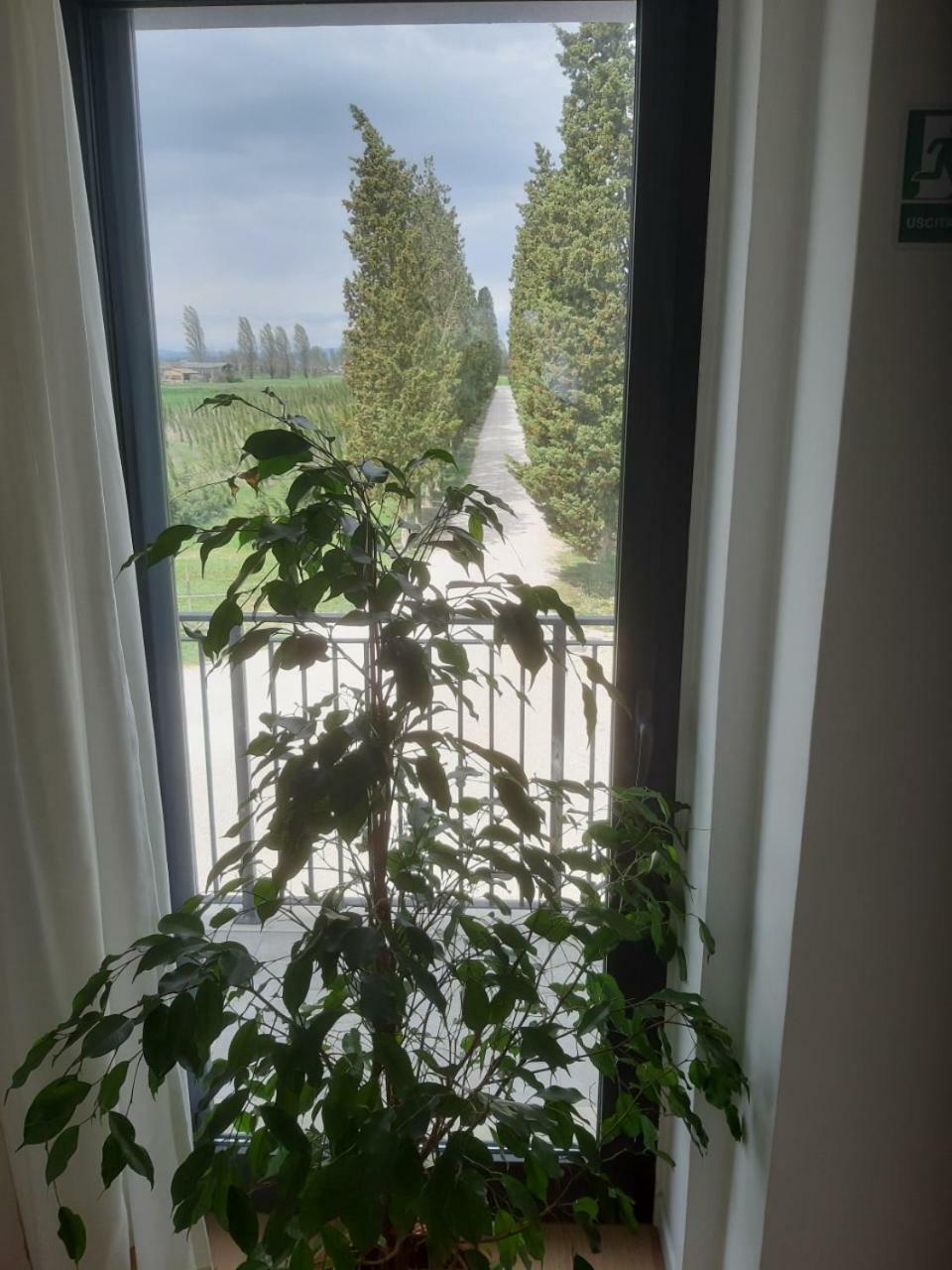 La Semente Farm stay